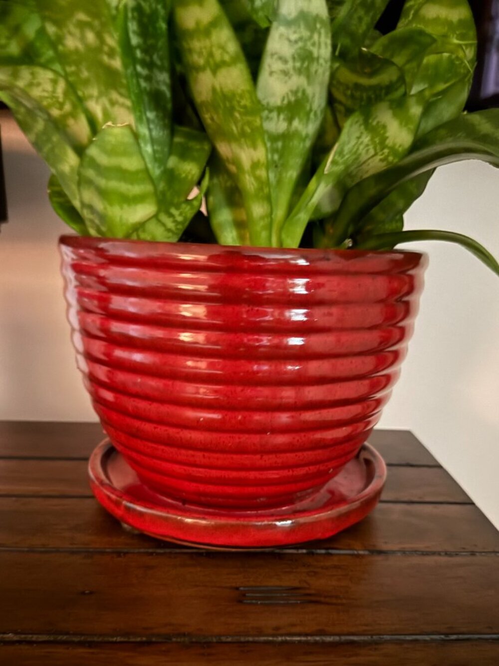 Red Ribbed Ceramic Plant Pot Attached Saucer Tray Modern Farmhouse Planter 8"x6" - Picture 1 of 4